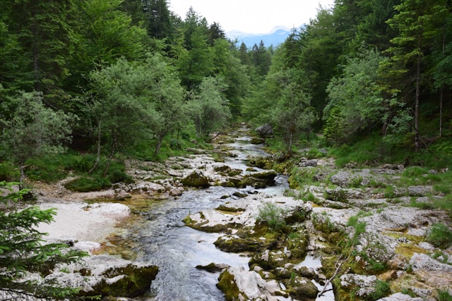 Mostnica Gorge, Stara Fužina, Slovenia