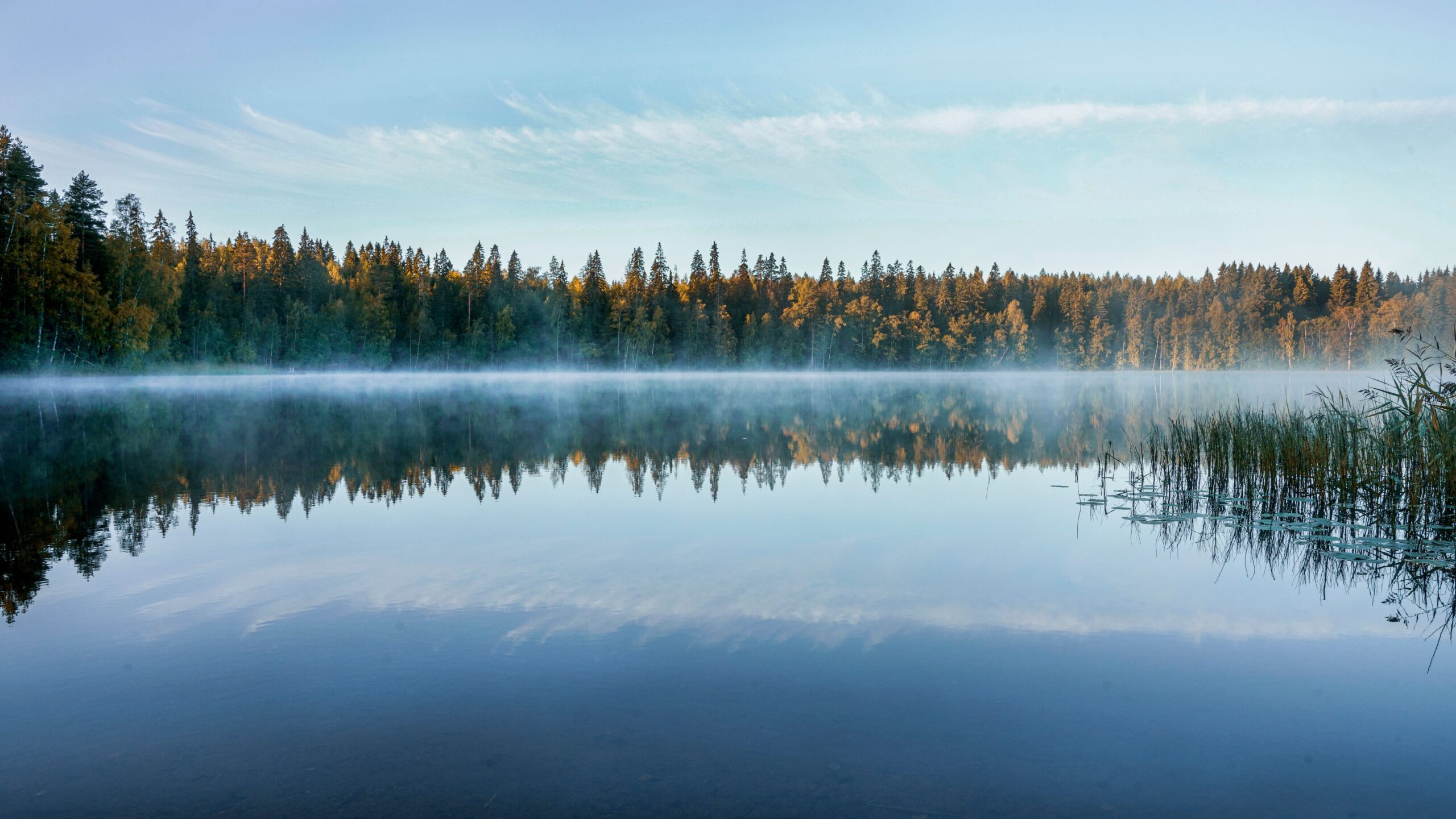 Suomi: A tranquil Finnish lake reflects the forest and morning mist at sunrise.
